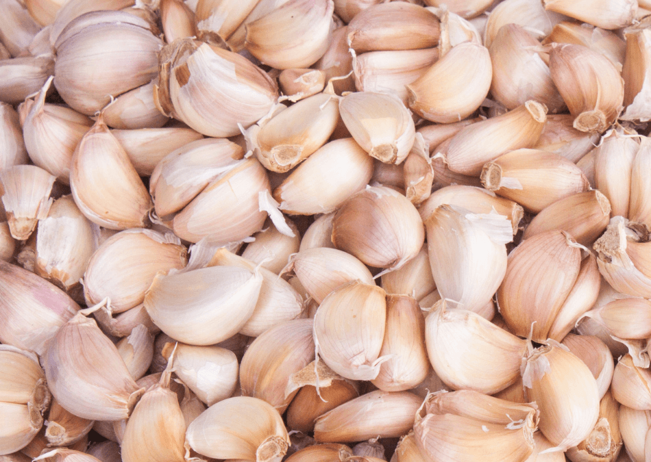 usturoi catei intregi cu piele