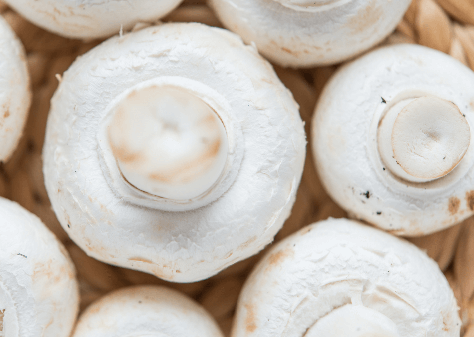 ciuperci șampinion prospat