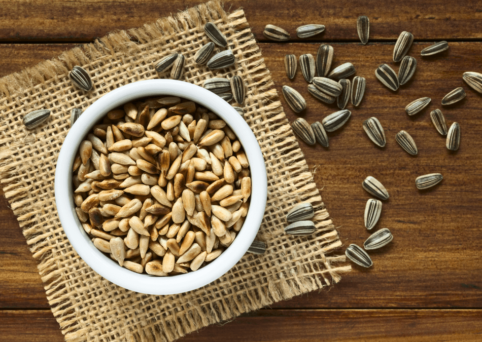 semite floarea soarelui