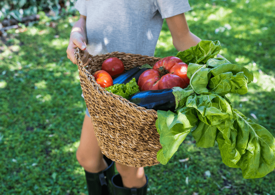 legume ecologice in cos