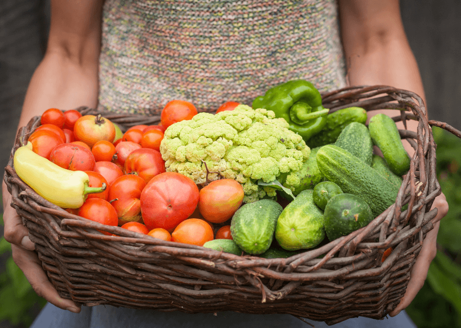 cos legume ecologice