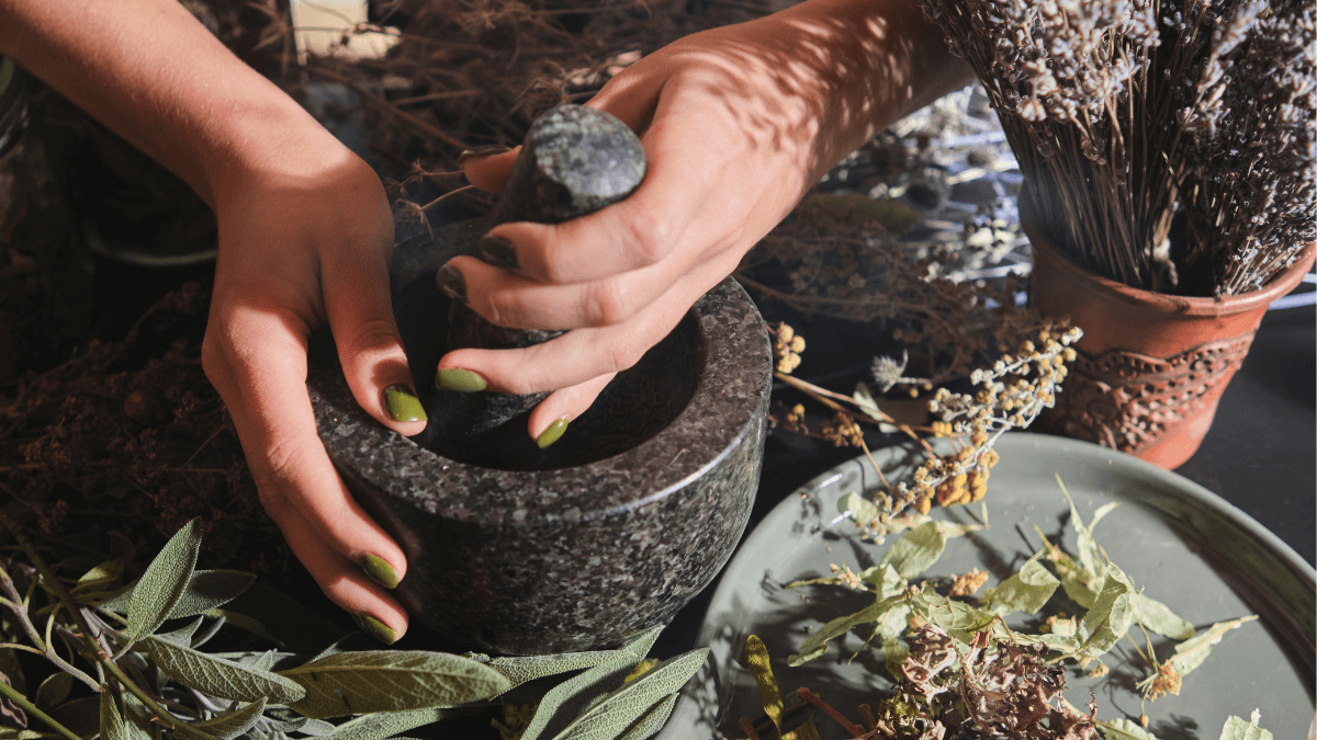 mojar ierburi provensale