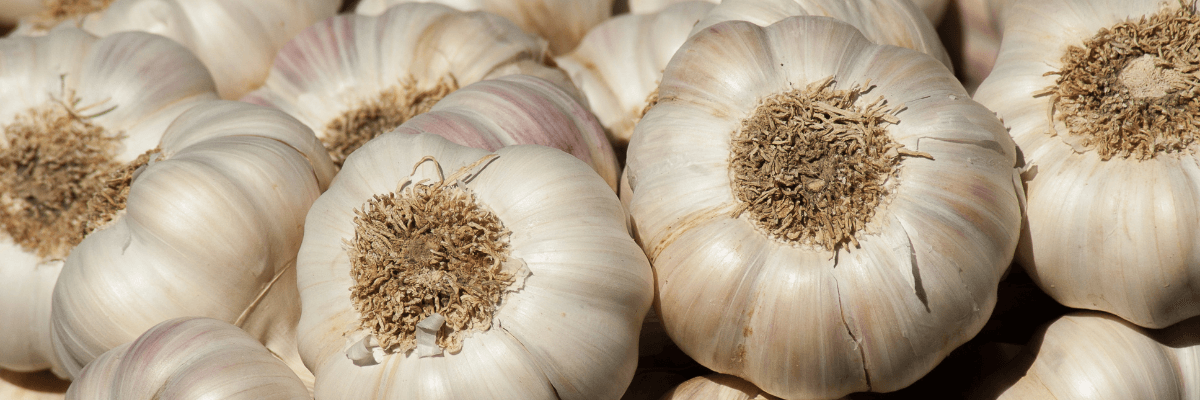 Ce facem cu cojile de usturoi