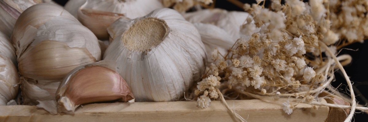 Usturoiul ecologic: beneficii pentru sănătate
